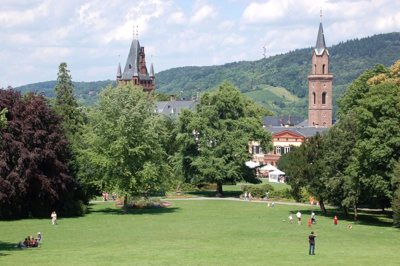 Schlossgarten Weinheim Bergstrasse Foto Bild Landschaft Garten