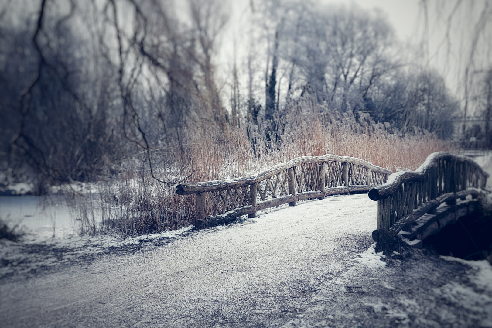 Schlossgartenbrücke im Winter