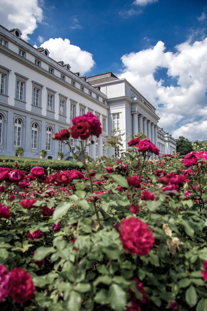 Schlossgarten.Koblenz.