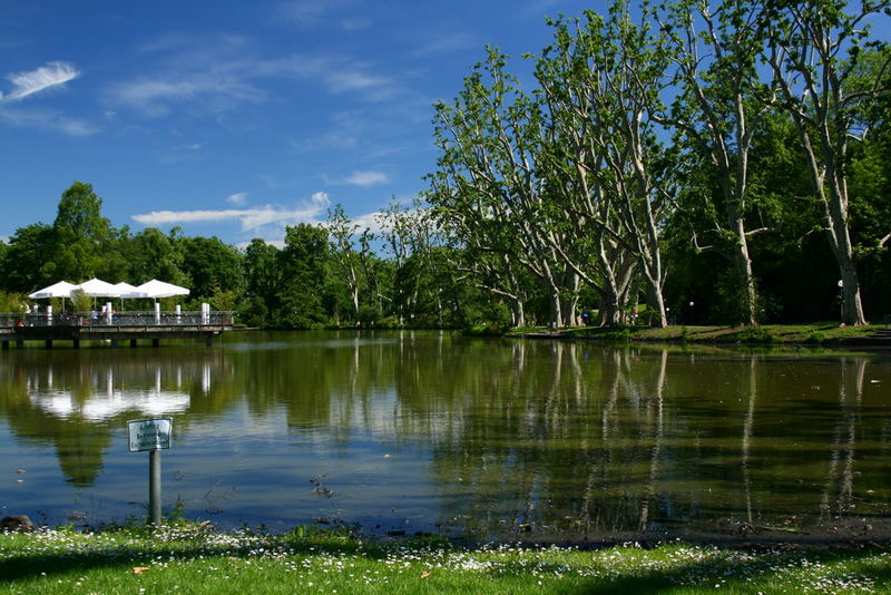 Schlossgartensee im Schlossgarten Stuttgart