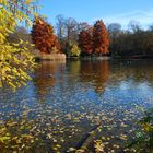 Schloßgartensee Karlsruhe