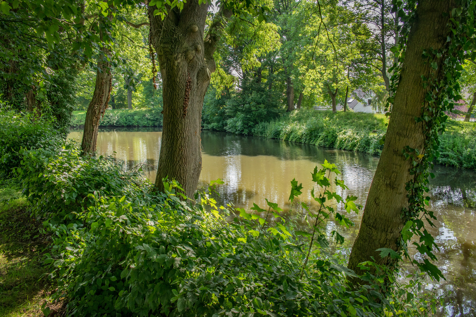 Schlossgraben - Wasserschloss Rodenberg/Nds.