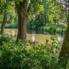 Schlossgraben - Wasserschloss Rodenberg/Nds.