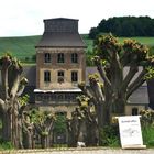 SchlossHainewalde