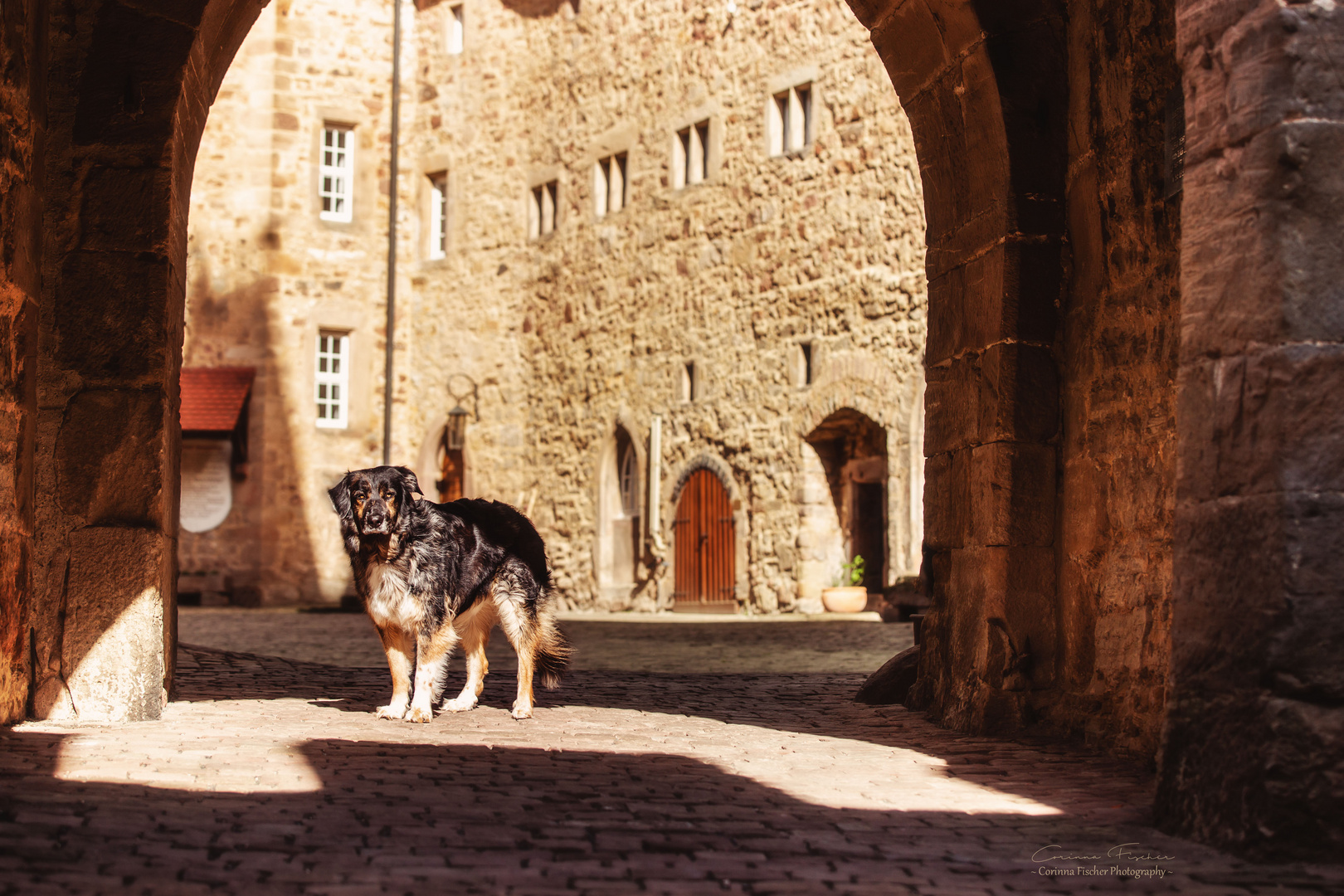 * Schlossherr zu Spangenberg *