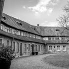 schlosshof-9984