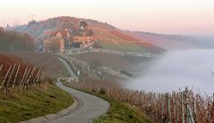 Schlosshotel Steinburg Nebelfront bahnt sich an.....