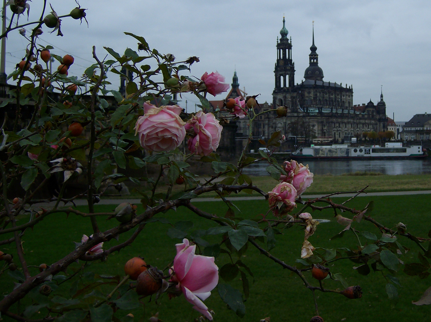 Schloßkirche Dresden