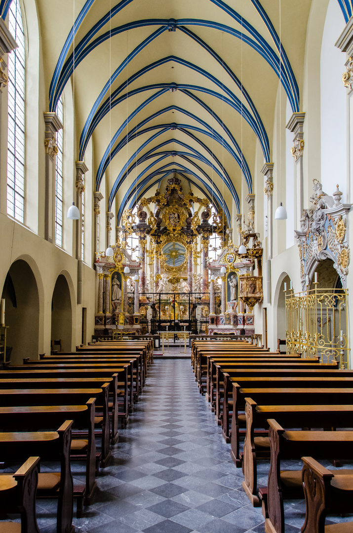 Schlosskirche St. Maria von den Engeln, Brühl (Rheinland) - 2