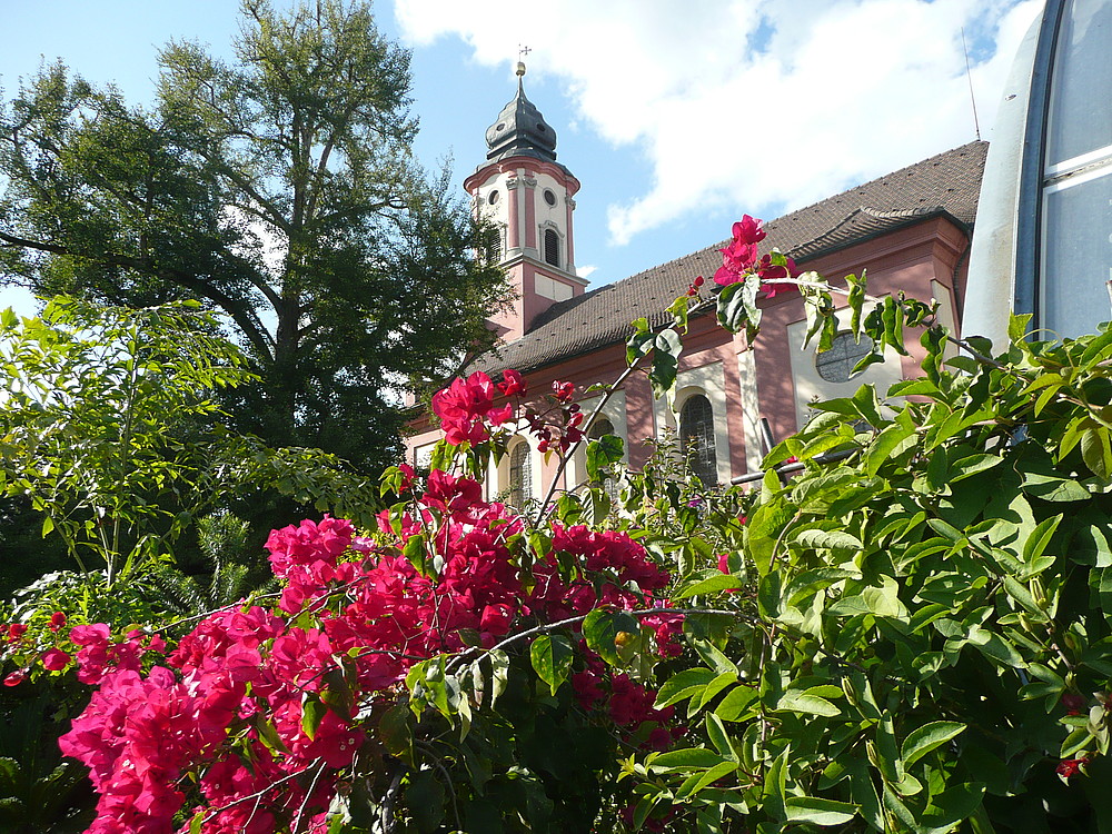 Schlosskirche St. Marien Mainau