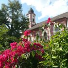 Schlosskirche St. Marien Mainau