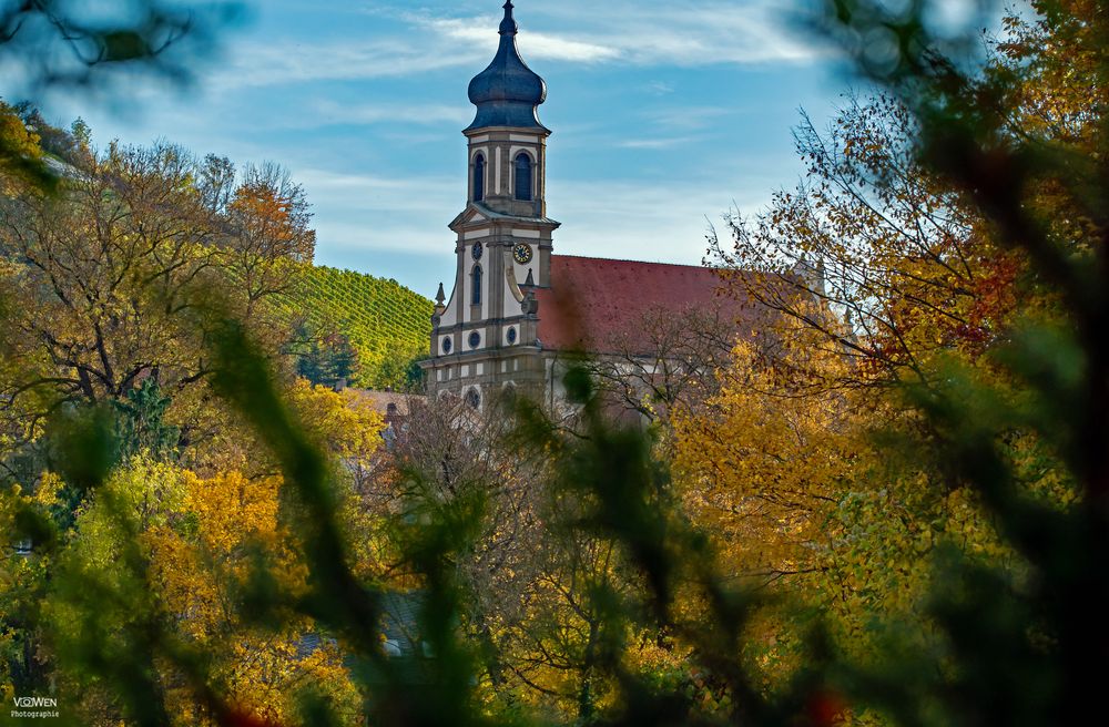 SCHLOSSKIRCHE VON CASTELL