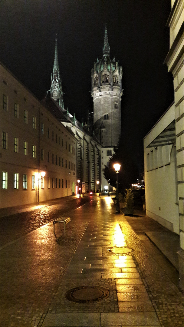 Schloßkirche Wittenberg :Sie zog mich förmlich  in Ihren Bann 