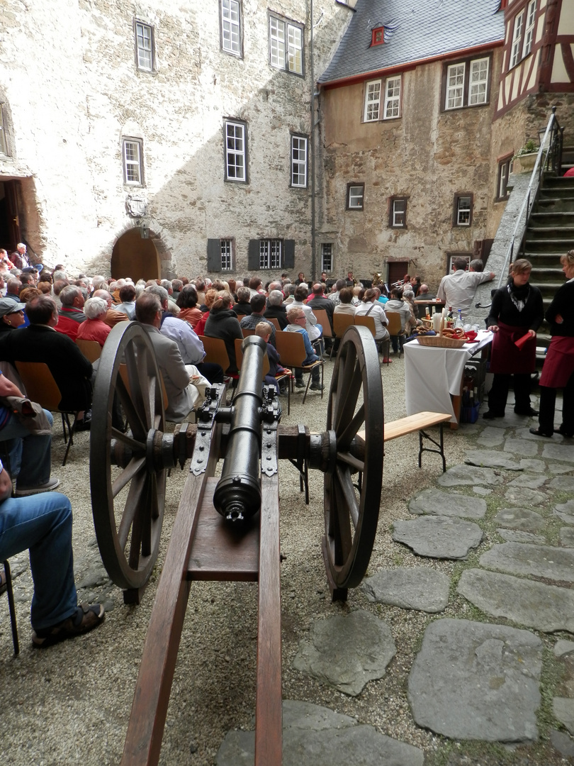 Schloßkonzert 2013 (4)