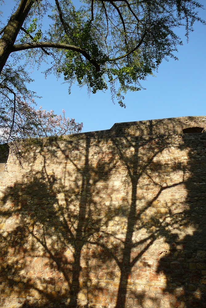 Schlossmauer Alzey