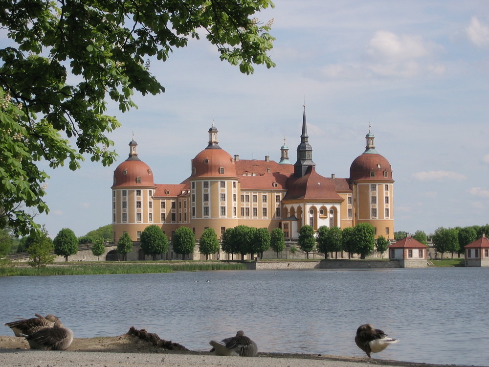 Schloß_Moritzburg