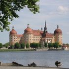 Schloß_Moritzburg