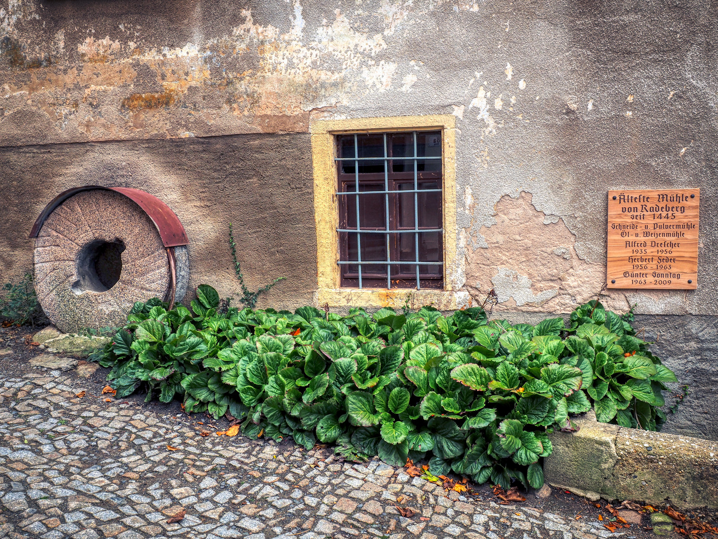 Schlossmühle Radeberg