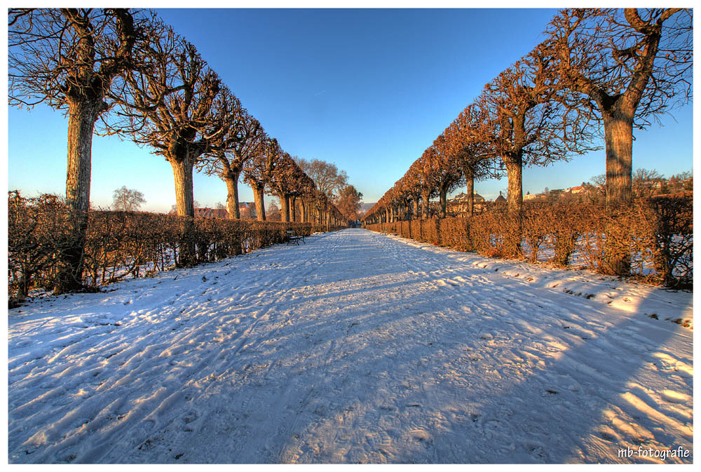 Schloßpark 02