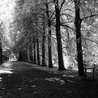 Schlosspark #2