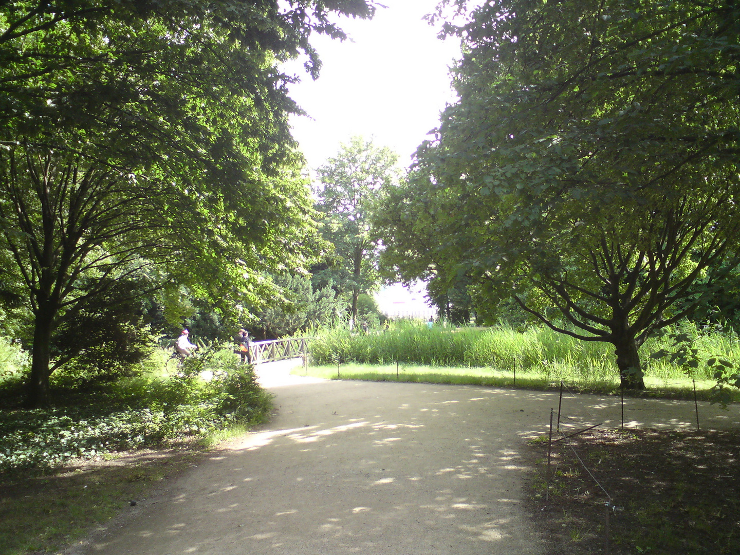 Schlosspark 3