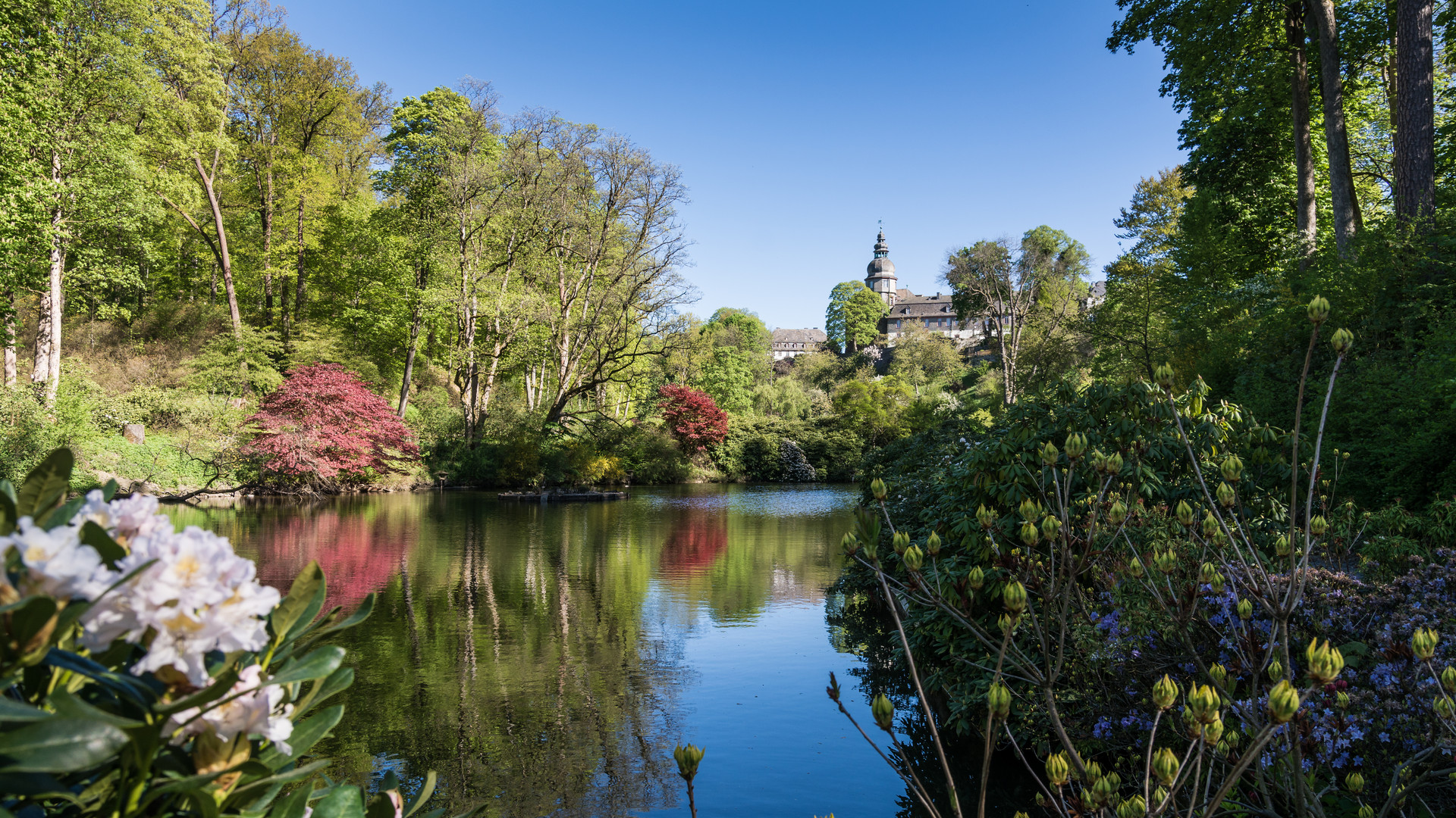 "Schlosspark"