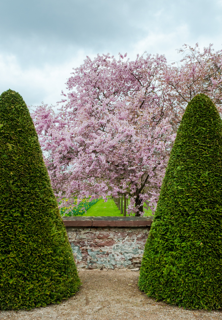 Schloßpark