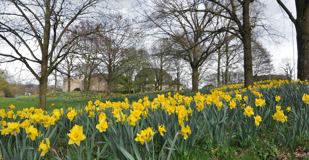 Schlosspark