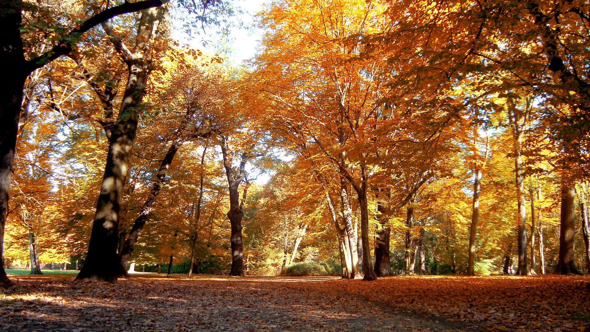 Schloßpark