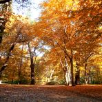 Schloßpark