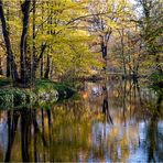 Schloßpark...