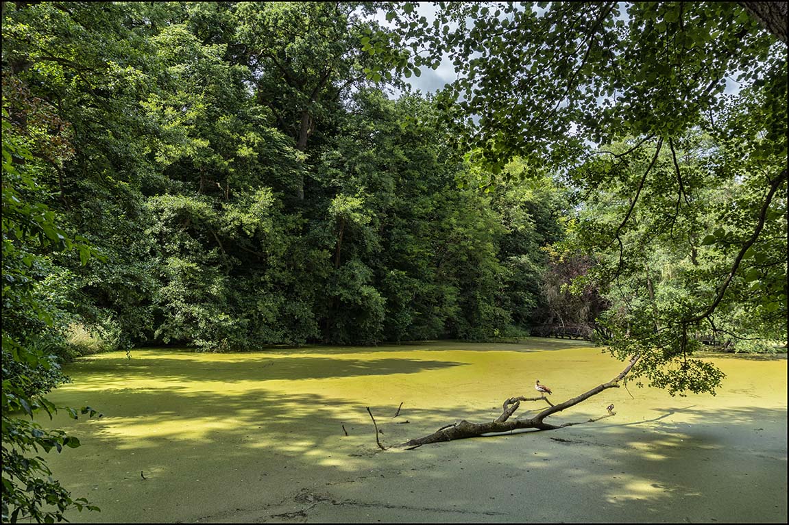 Schlosspark Agathenburg #1