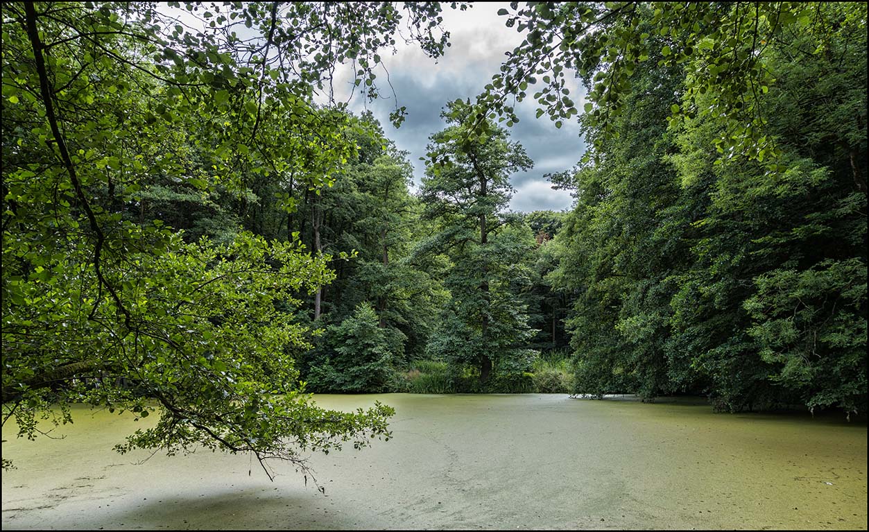 Schlosspark Agathenburg #2