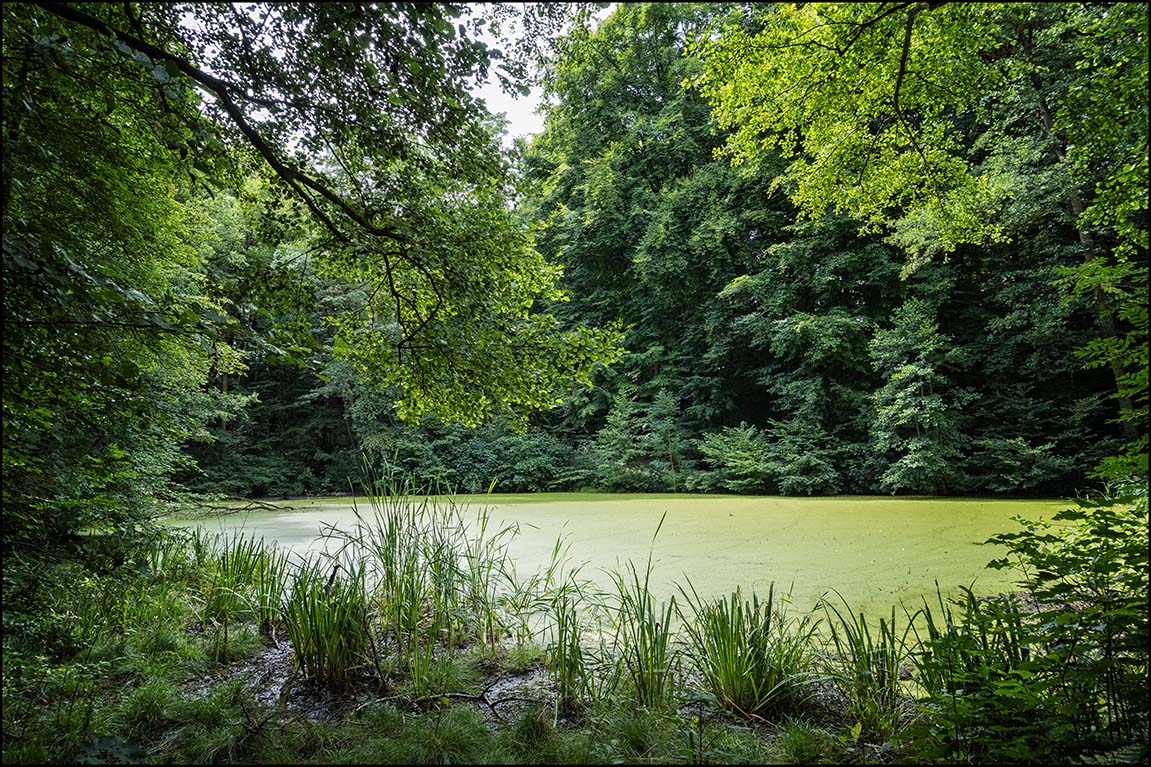 Schlosspark Agathenburg #3