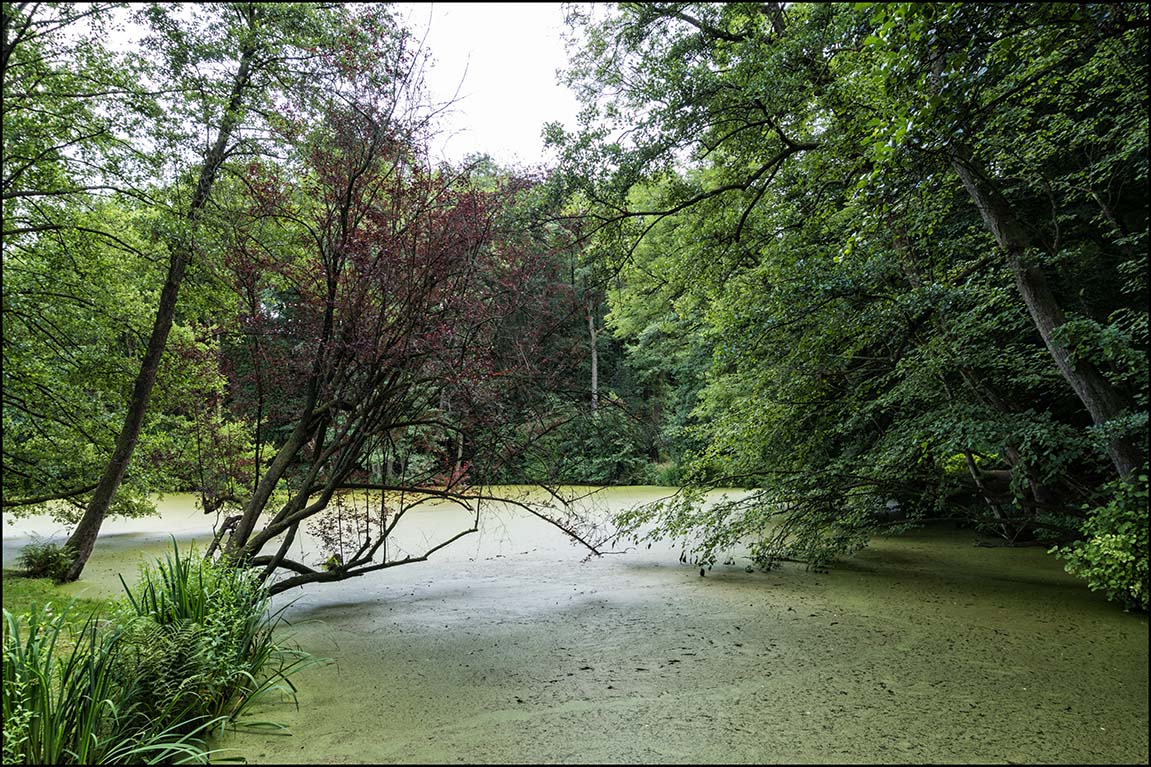 Schlosspark Agathenburg #4