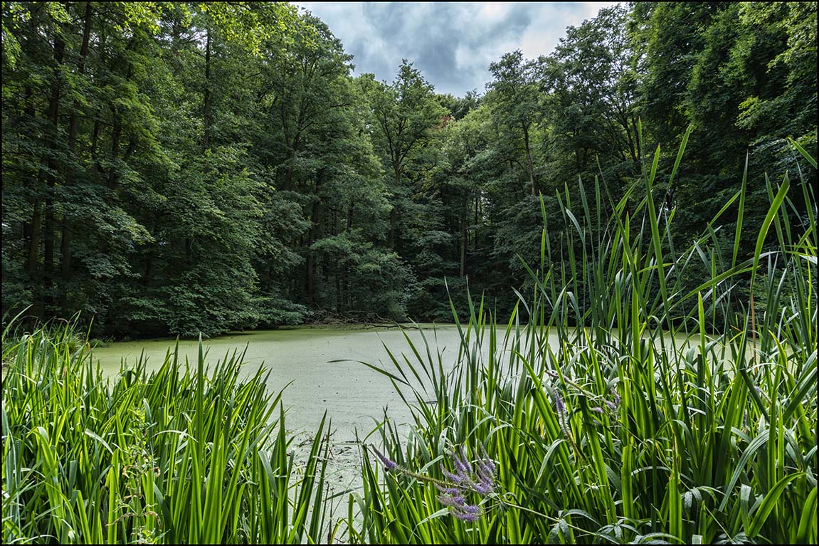 Schlosspark Agathenburg #5