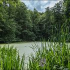 Schlosspark Agathenburg #5