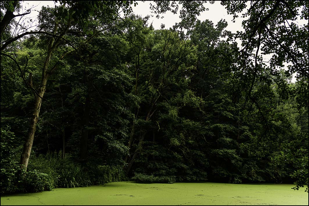 Schlosspark Agathenburg