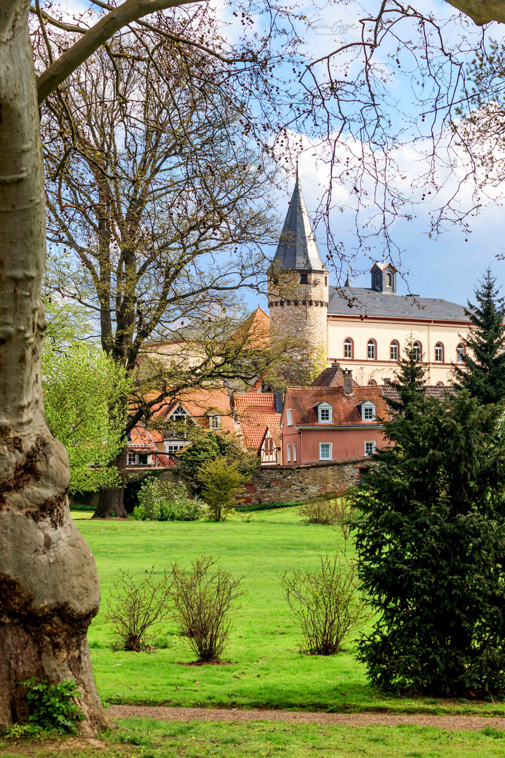 Schloßpark Altstadt Bad Homburg 