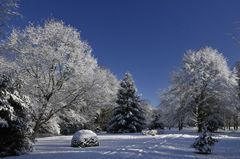 Schlosspark Anholt