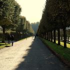 Schloßpark Augustusburg in Brühl bei Köln