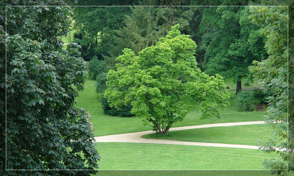 Schloßpark Bad Homburg