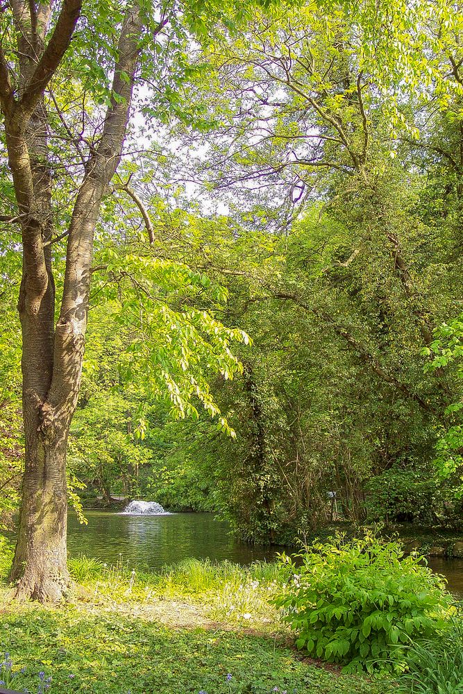 Schlosspark Bad Kreuznach 05/2003 III