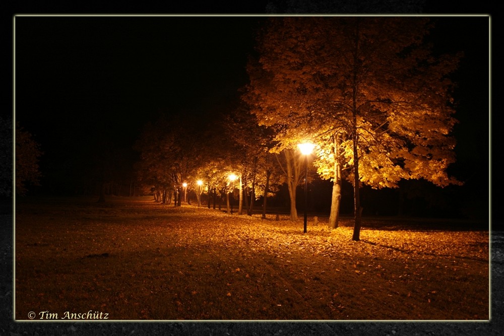 Schlosspark bei Nacht