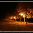 Schlosspark bei Nacht