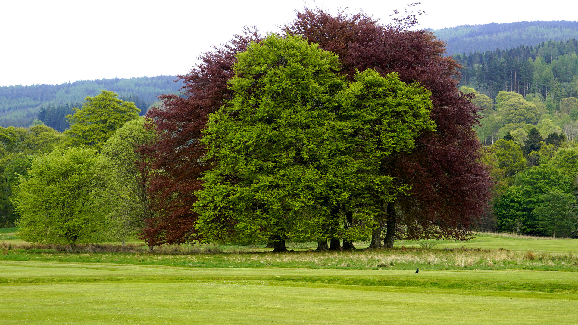 Schlosspark bei Pitlochry