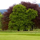 Schlosspark bei Pitlochry