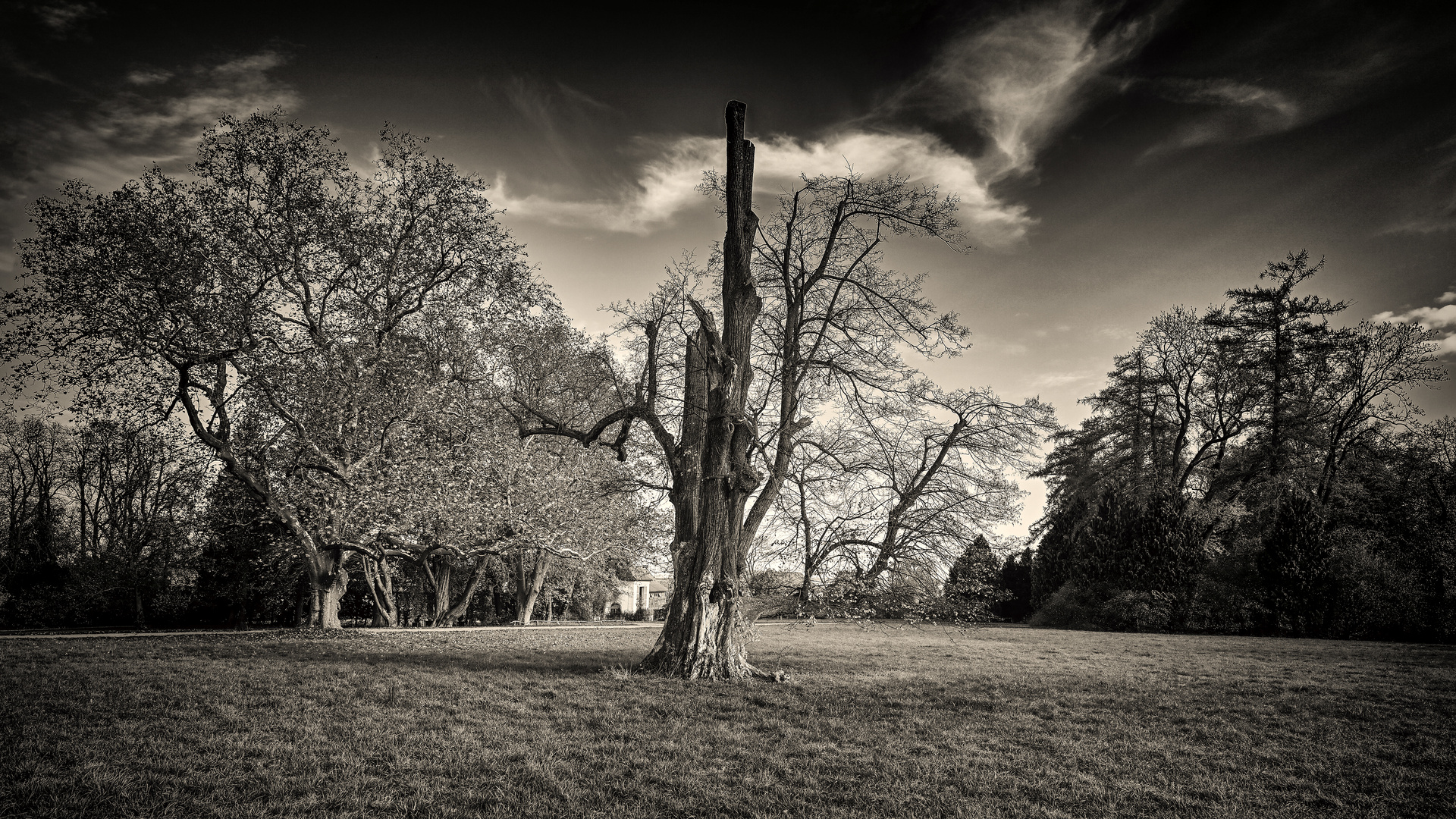 Schlosspark Belvedere 01