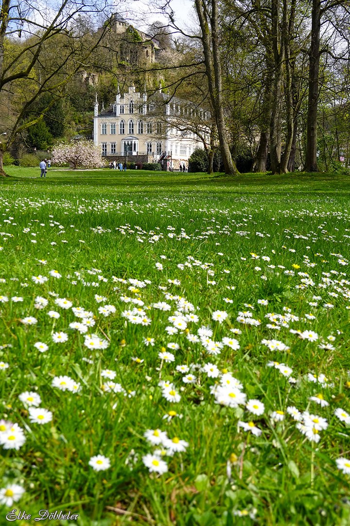 Schlosspark Bendorf-Sayn mit Schloss und Ruine