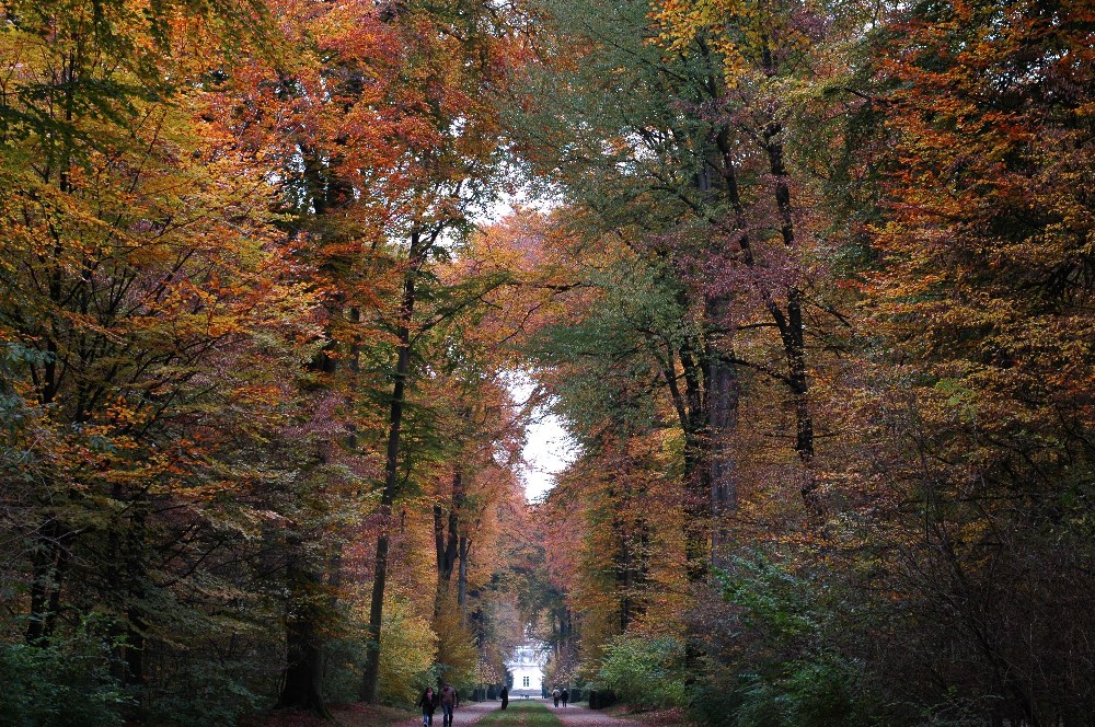 Schlosspark Benrath bei Düsseldorf 2009